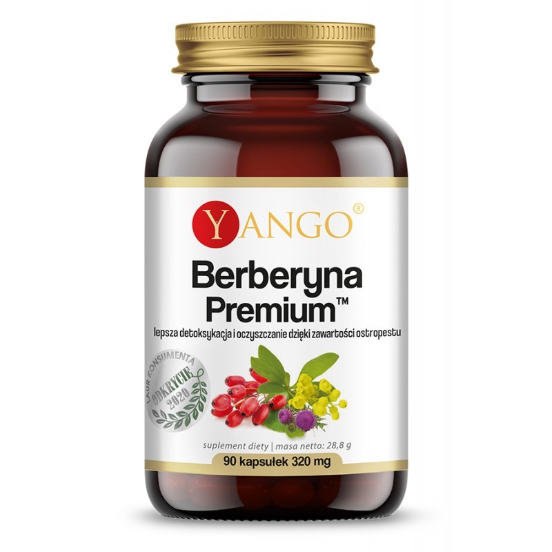 Berberyna Premium 90 kaps. Yango ekstrakt z korzenia berberysu Berberis aristata ostropest plamisty Silybum marianum
