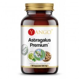 Astragalus Premium 90 kaps....