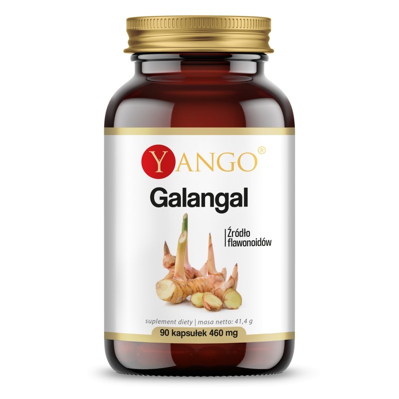 Galangal 90kaps. Yango źródło flawonoidów ekstrakt z korzenia galangala Alpinia galanga