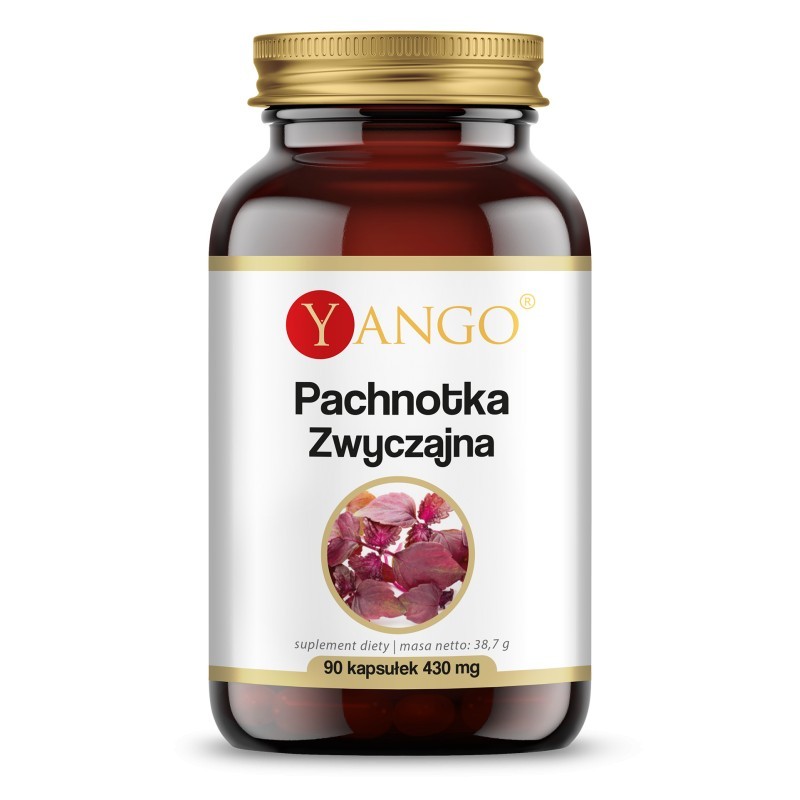 Pachnotka zwyczajna 90 kaps. Yango Perilla frutescens