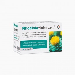 Rhodiola-Intercell® 60 kapsułek Różeniec Górski Magnez Witamina D Witaminy z grupy B