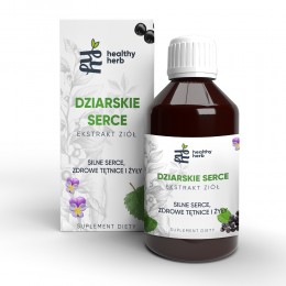 Dziarskie serce 250 ml Healthy Herb mniszek lekarski melisa kwiat głogu skrzyp polny