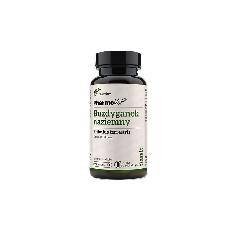 Buzdyganek naziemny 90 kapsułek PharmoVit Tribulus terrestris