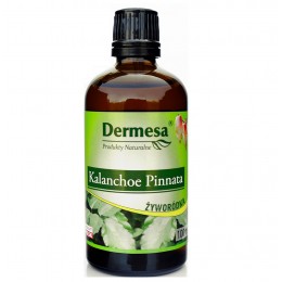 Kalanchoe Pinnata 100ml Dermesa żyworódka