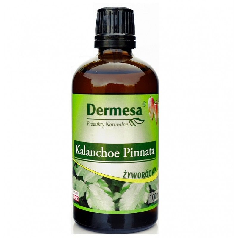 Kalanchoe Pinnata 100ml Dermesa żyworódka
