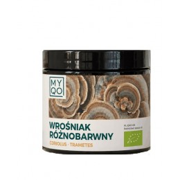 Wrośniak różnobarwny 90 kaps. MYQO coriolus trametes